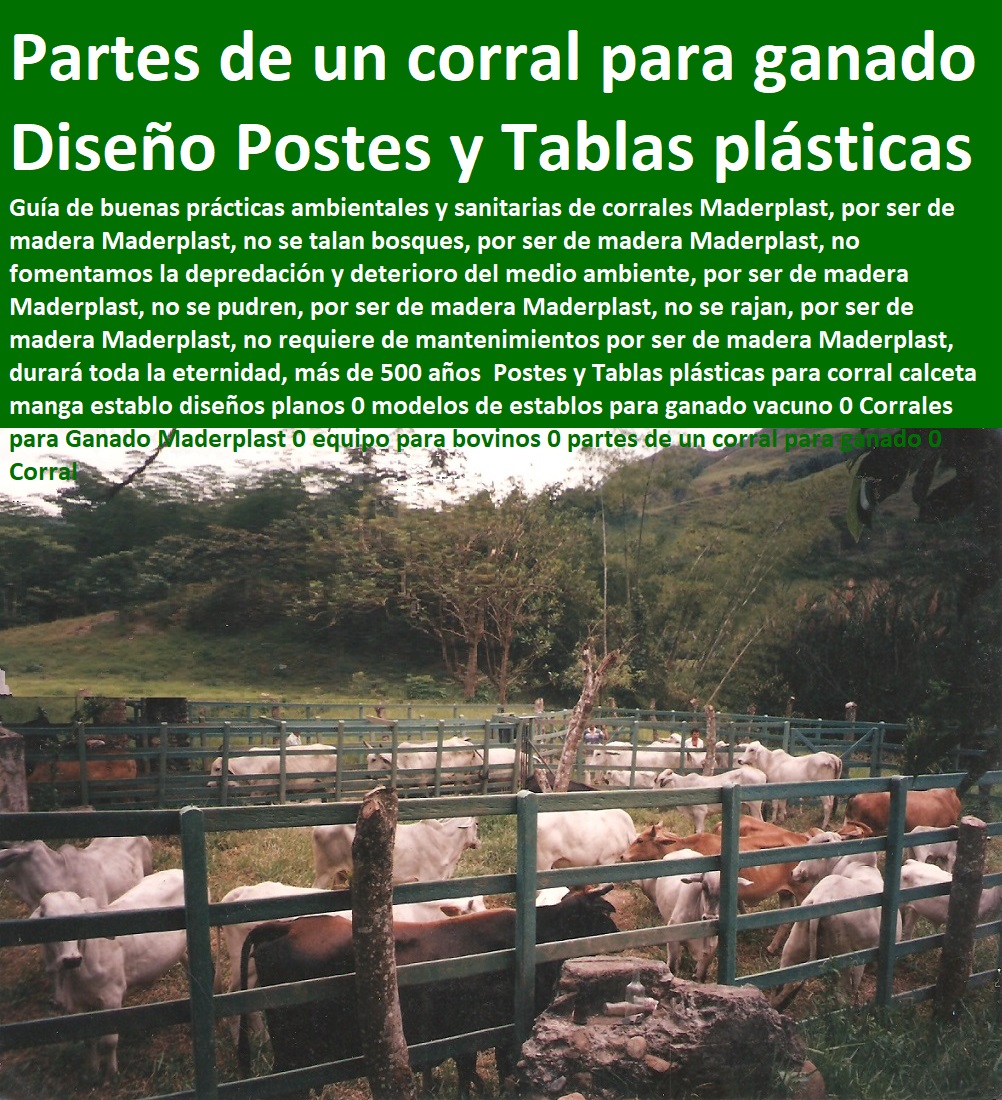 Postes y Tablas plásticas para corral calceta manga establo diseños planos 0 modelos de establos para ganado vacuno 0 Corrales para Ganado Maderplast 0 equipo para bovinos 0 partes de un corral para ganado 0 Corral Postes y Tablas plásticas para corral calceta manga establo diseños planos 0 modelos de establos para ganado vacuno 0 Corrales para Ganado Maderplast 0 equipo para bovinos 0 partes de un corral para ganado 0 Corral Postes y Tablas plásticas para corral calceta manga establo diseños planos 0 modelos de establos para ganado vacuno 0 Corrales para Ganado Maderplast 0 equipo para bovinos 0 partes de un corral para ganado 0 Corral